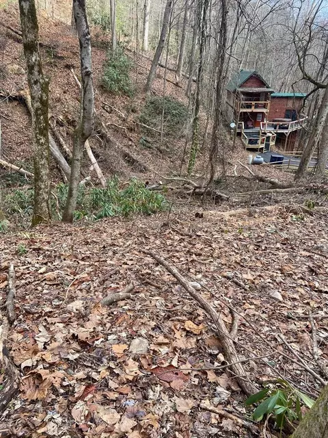 lot7 Black Walnut Flts, Sevierville, TN 37862