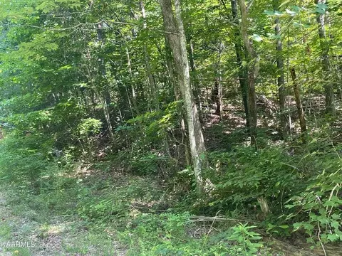 lot Apt 58 Dogwood Ct, Sevierville, TN 37876