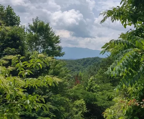 lot3 Wild Briar Trl, Pigeon Forge, TN 37863