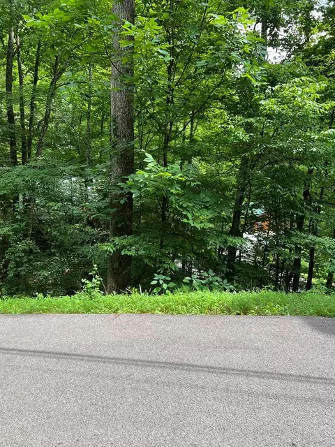 406 Ski View Lane, Sevierville, TN 37876