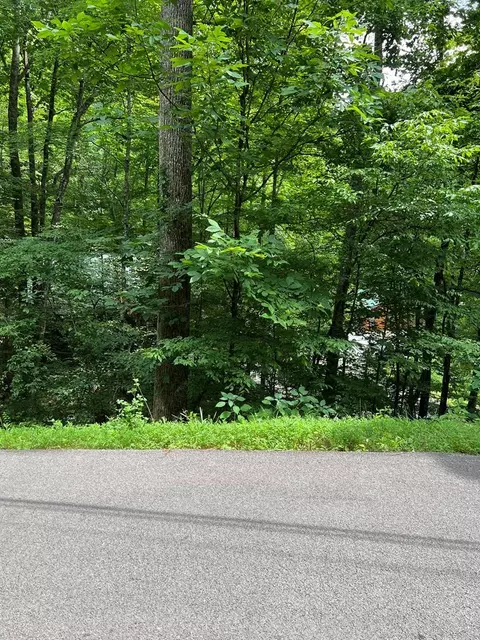 lot0406 Ski View Ln, Sevierville, TN 37876
