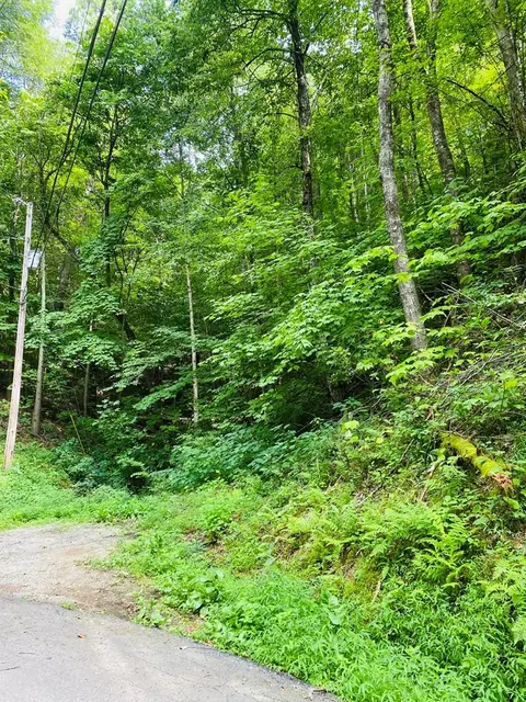 1144 Beach Front Drive, Sevierville, TN 37876