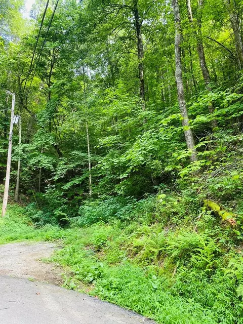 Beach Front Drive, Sevierville, TN 37876