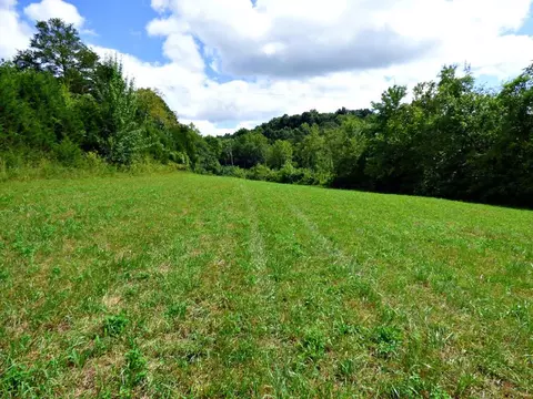 Tract 2 Cody Road, White Pine, TN 37890