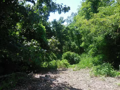 lot523 Crooked Ridge Rd, Gatlinburg, TN 37738