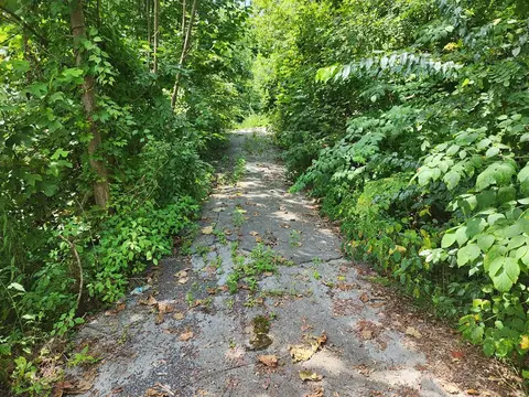 516 Edgewood Dr, Gatlinburg, TN 37738