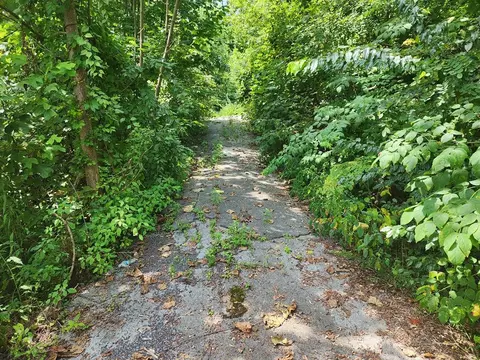 516 Edgewood Dr, Gatlinburg, TN 37738