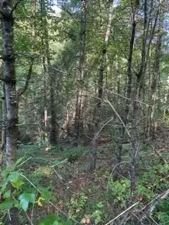 Stepping Stone Dr, Sevierville, TN 37862
