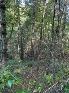Stepping Stone Drive, Sevierville, TN 37862