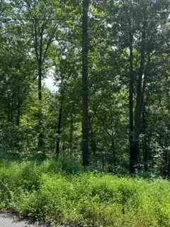 Sunset Rd, Sevierville, TN 37862 photo 2