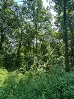 Sunset Road, Sevierville, TN 37862