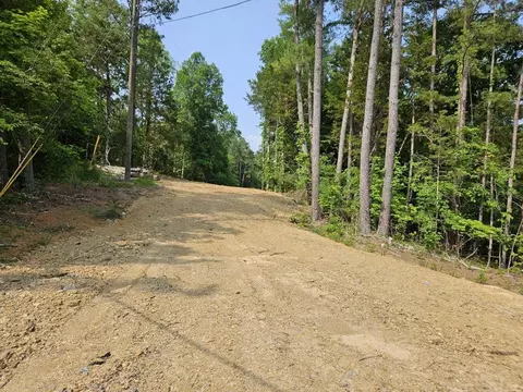 lot57 Bootbluff Trl, Dandridge, TN 37725
