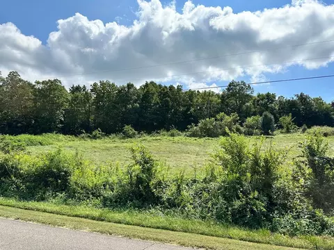Baker Springs Road, White Pine, TN 37890