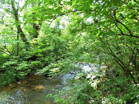 lot13 Rb Hilltop Rd, Dandridge, TN 37725