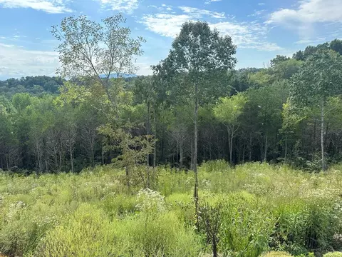 lot133 Red Cedar Ridge Rd, Sevierville, TN 37876