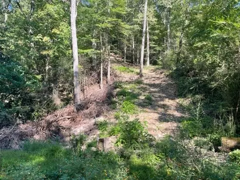 Carson Springs Road, Newport, TN 37821