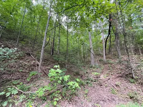 1127 Clingmans Vw, Sevierville, TN 37876