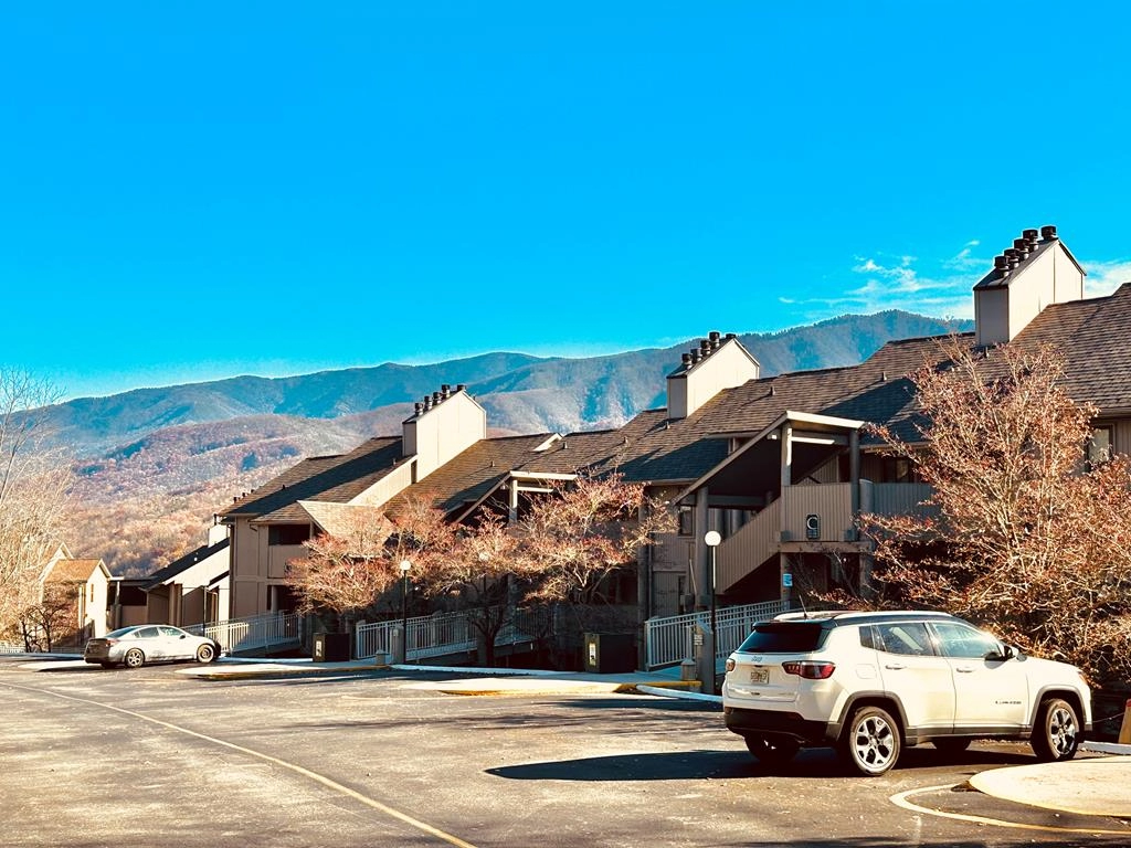 3710 Weber Rd Unit C-105  