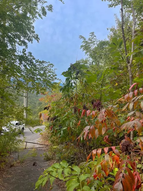 1271 Appalachian Ln, Gatlinburg, TN 37738
