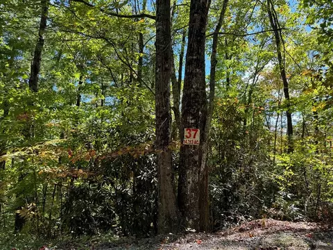 Lot 37 Joy Way, Hartford, TN 37753
