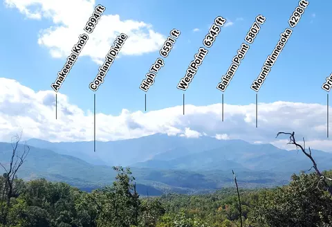 1216 Pine Top Ln, Gatlinburg, TN 37738