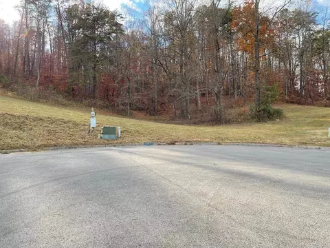 Briar Ridge Lane, Talbott, TN 37871 photo 7