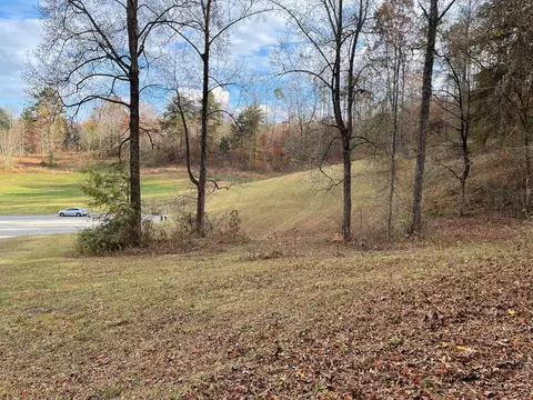 Briar Ridge Lane, Talbott, TN 37871 photo 6