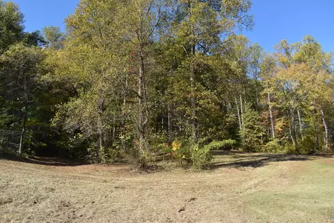 Briar Ridge Lane, Talbott, TN 37871 photo 5