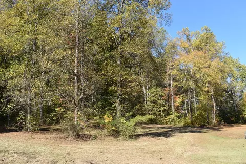 Briar Ridge Lane, Talbott, TN 37871 photo 2