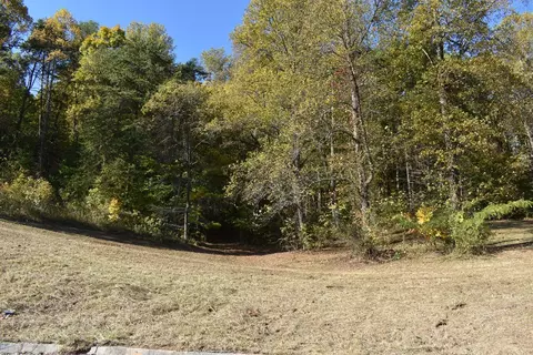Briar Ridge Lane, Talbott, TN 37871 photo 4
