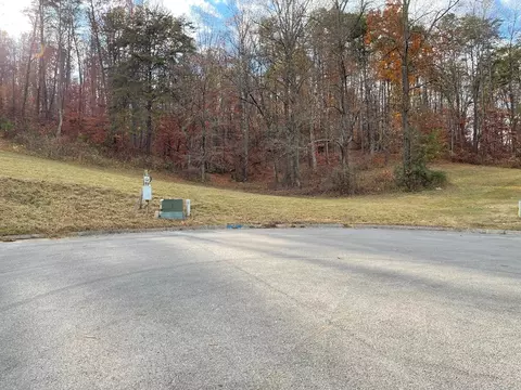 Briar Ridge Lane, Talbott, TN 37871 photo 7