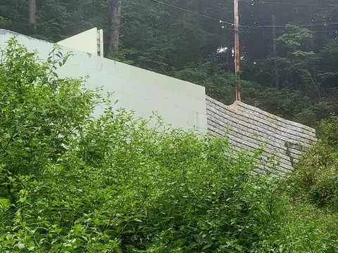 1032 Laddiebuck Ln, Gatlinburg, TN 37738
