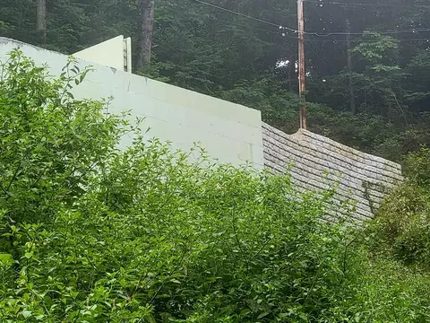 1032 Laddiebuck Ln, Gatlinburg, TN 37738