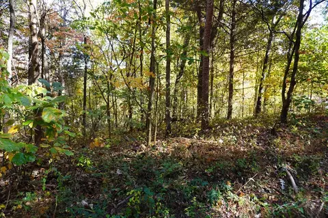 lot46 West Dr, Parrotsville, TN 37843