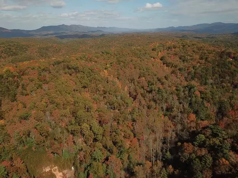 Mt. Pleasant Road, Vonore, TN 37885