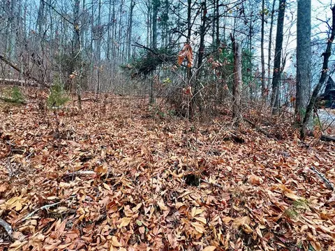 Lot 10 Shagbark Hickory Ridge, Sevierville, TN 37862
