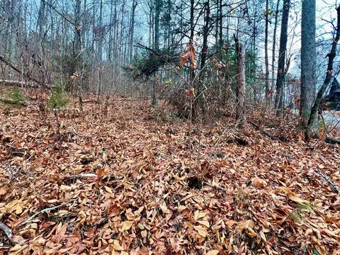 lot10 Shagbark Hickory Rdg, Sevierville, TN 37862