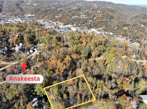 466 Loop Rd, Gatlinburg, TN 37738