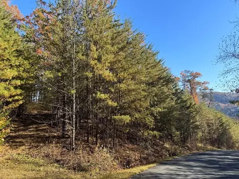 Bear Track Way, Del Rio, TN 37727