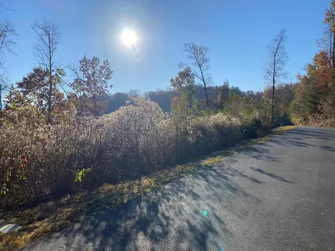 Lot 11 Sanctuary Shores Way, Sevierville, TN 37876