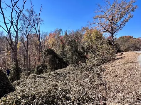 810 Park Dr, Gatlinburg, TN 37738