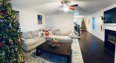 1133 Cloud View Dr, Powell, TN 37849 photo 6