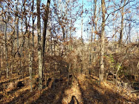 lot11 Cherokee Dr, Dandridge, TN 37725