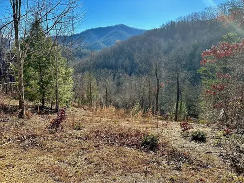 1621 Mountain Dreams Way, Sevierville, TN 37862