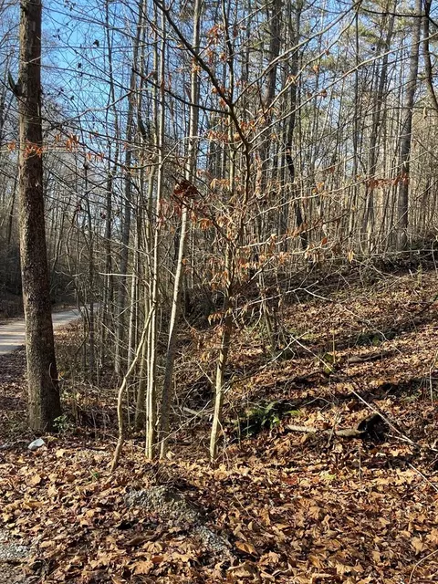 Hurley Way, Dandridge, TN 37725