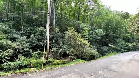 12 Butler Branch Road, Gatlinburg, TN 37738