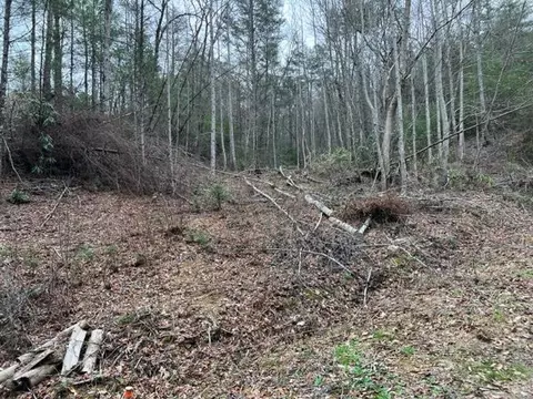 Lot 3d Coy Rhea Way, Sevierville, TN 37876