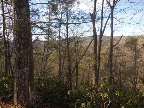 lot21 Moody Dr, Gatlinburg, TN 33738