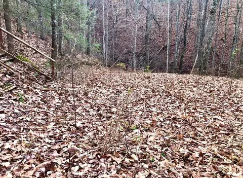 4159 Chamberlain Ln, Sevierville, TN 37862