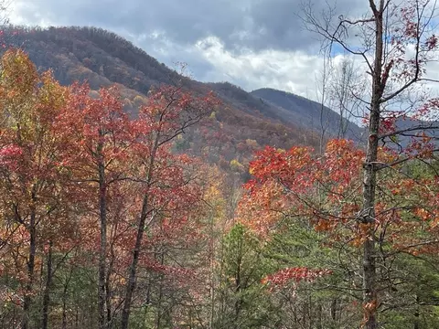lot2 Caney Crk, Pigeon Forge, TN 37863